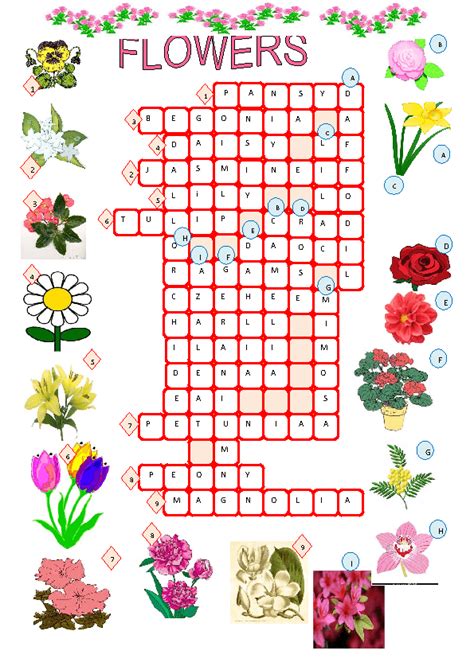 flower arranging art crossword